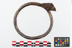 Foto von Bronzefußring (NHMW-PRAE-003478)